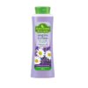 HERB’S PLANET Fito Līnija Šampūns-balzams 2 in 1 Kumelīte un lavanda Stiprināšana un kopšana visiem matu tipiem, 500 ml