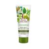 FAMILY DOCTOR Phyto-serums sejai un kaklam Jaunības enerģija, 75 ml
