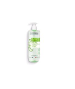 EVOLUDERM Aloe Vera Mitrinoša mazgāšanas želeja, 500 ml